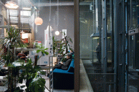 https://katrinmayer.net:443/files/gimgs/th-31_7_2010-02-2012-34-06_v2.gif